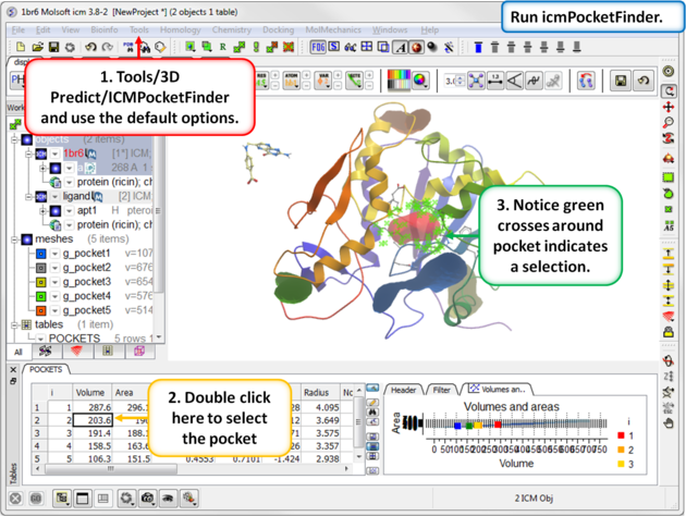 ICM User's Guide: Ligand Docking Tutorials