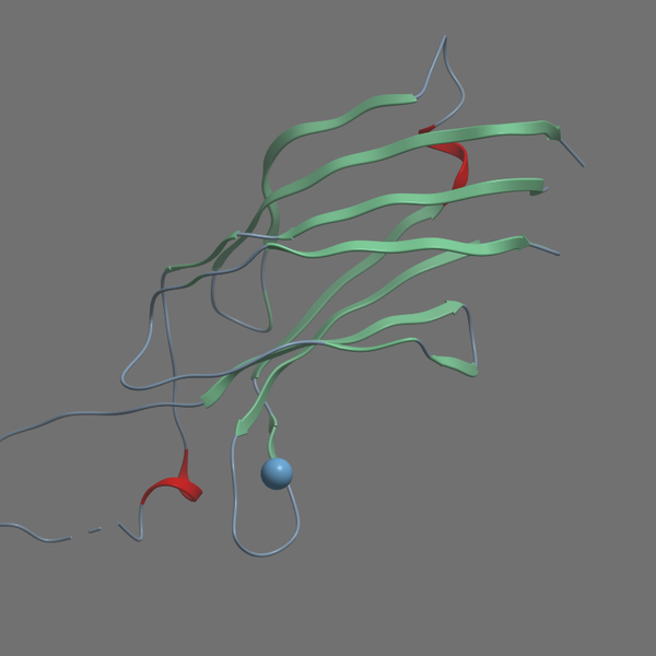 P09216 KPCE RAT 1 131