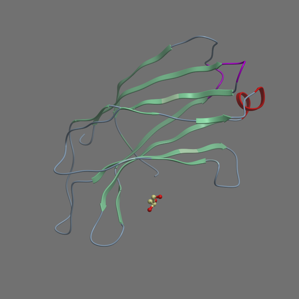 P47709 RP3A RAT 369 517