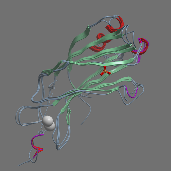 P47709 RP3A RAT 541 683
