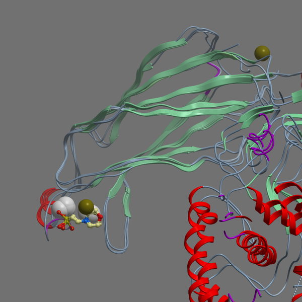 P47712 PA24A HUMAN 5 140