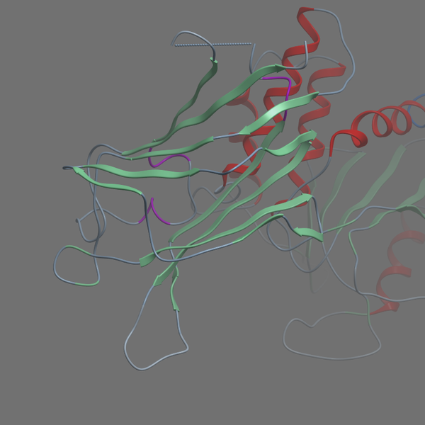 P60484 PTEN HUMAN 7 353