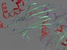 Q00722 PLCB2 HUMAN 1 799