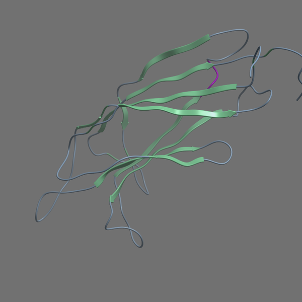 Q9NZM1 MYOF HUMAN 1 133