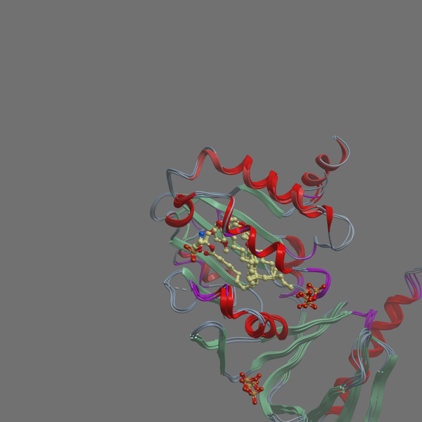 P21359 NF1 HUMAN 1569 1837