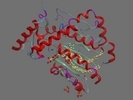 P33324 YKJ1 YEAST 1 310