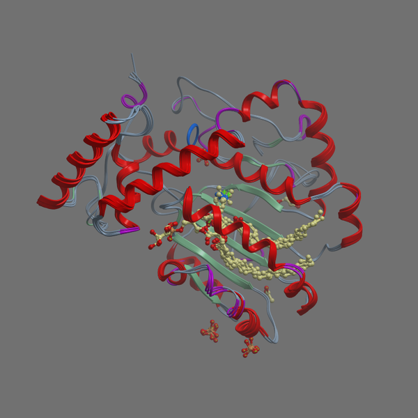P33324 YKJ1 YEAST 1 310