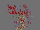 P49638 TTPA HUMAN 6 278