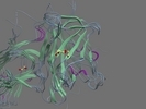 O14786 NRP1 HUMAN 427 586