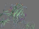 O60462 NRP2 HUMAN 274 595