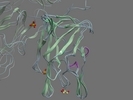 P00451 FA8 HUMAN 2192 2350