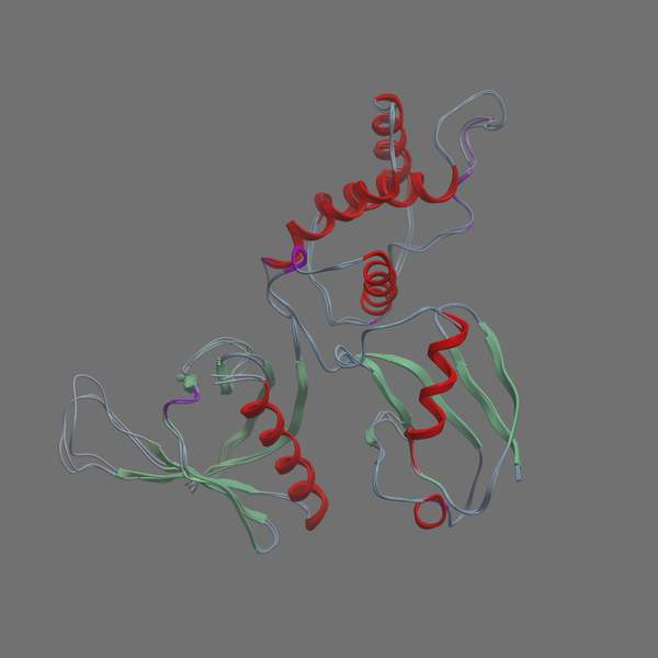 P11171 41 HUMAN 210 488