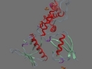 P35240 MERL HUMAN 7 313