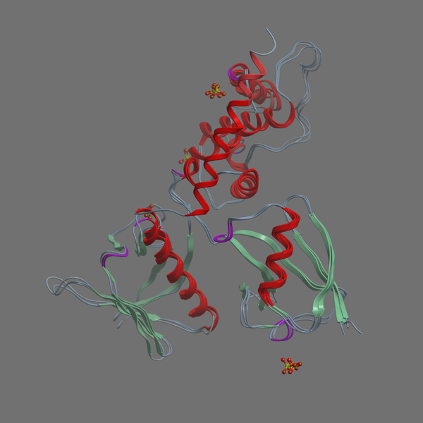 P35240 MERL HUMAN 7 313