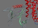 O75962 TRIO HUMAN 1225 1535