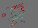 P10688 PLCD1 RAT 10 134