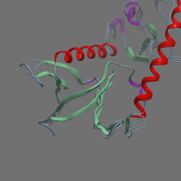 P15498 VAV HUMAN 183 572