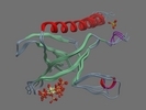 P31749 AKT1 HUMAN 1 127