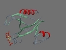 Q01082 SPTB2 HUMAN 2200 2305