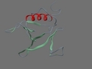 Q8N4X5 AF1L2 HUMAN 354 445
