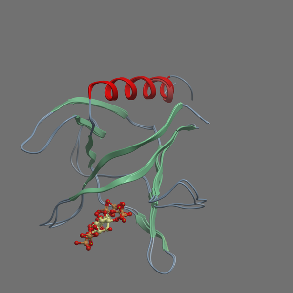 Q99418 CYH2 HUMAN 253 378
