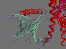 Q9NZN5 ARHGC HUMAN 764 1140