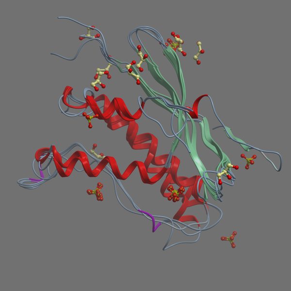 P14598 NCF1 HUMAN 1 124