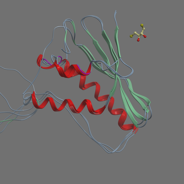 P29366 BEM1 YEAST 266 415