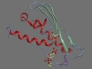 Q08826 SNX3 YEAST 1 162