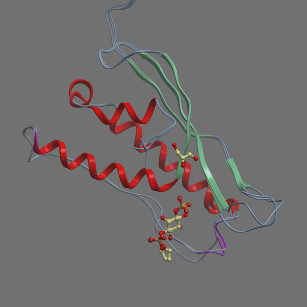 Q08826 SNX3 YEAST 1 162
