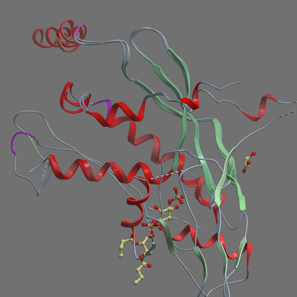 Q15080 NCF4 HUMAN 1 144