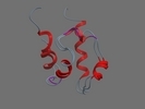 O15350 P73 HUMAN 486 559