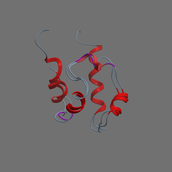 O15350 P73 HUMAN 486 559