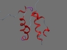 Q8R079 BFAR MOUSE 170 248