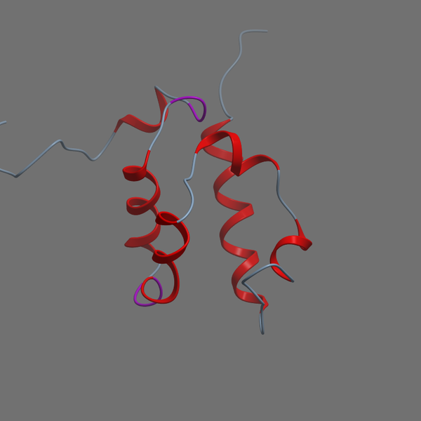 Q8R079 BFAR MOUSE 170 248