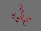 Q9H3D4 P63 HUMAN 540 614